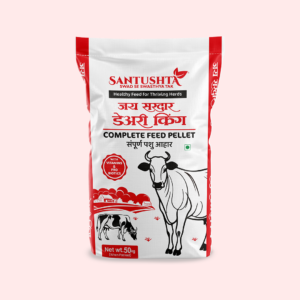 Jay Sardar Dairy King